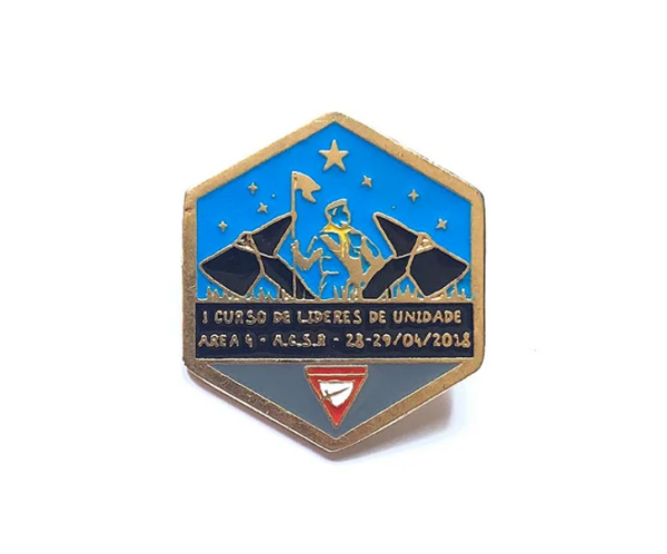Pin Academia De Liderança